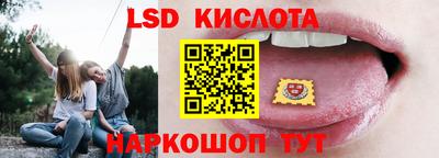 apvp Бердск