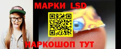 apvp Бердск