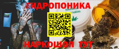 apvp Бердск