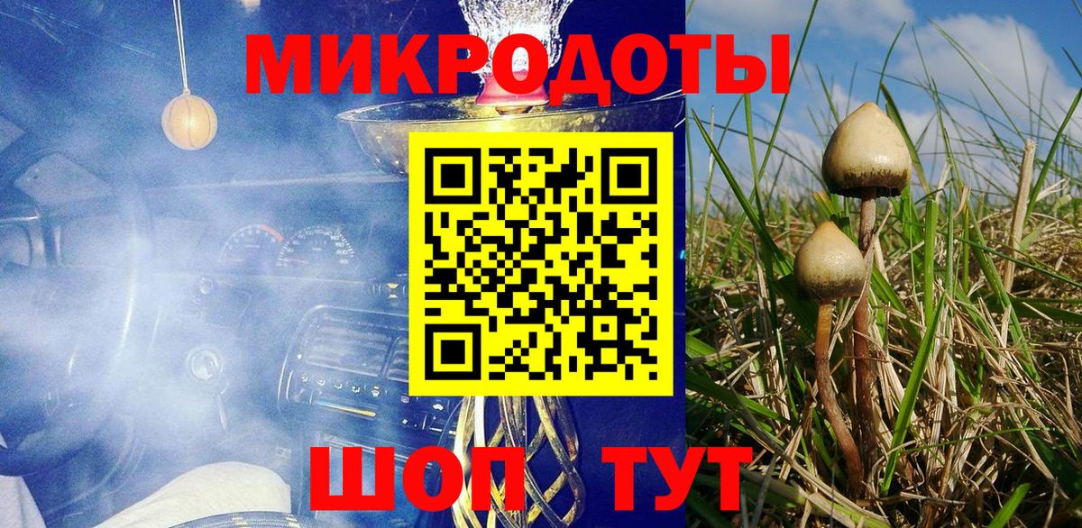 Ессентуки  Псилоцибиновые грибы Magic Shrooms  Вход с VPN  где найти   Галлюциногенные грибы GOLDEN TEACHER 